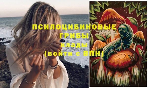 гидра Навашино